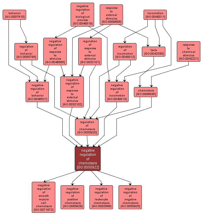 GO:0050922 - negative regulation of chemotaxis (interactive image map)