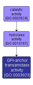 GO:0003923 - GPI-anchor transamidase activity (interactive image map)