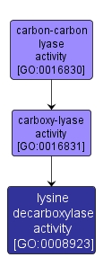 GO:0008923 - lysine decarboxylase activity (interactive image map)