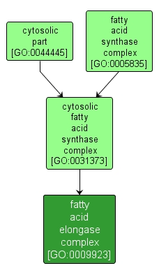 GO:0009923 - fatty acid elongase complex (interactive image map)