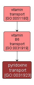 GO:0031923 - pyridoxine transport (interactive image map)