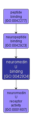 GO:0042924 - neuromedin U binding (interactive image map)