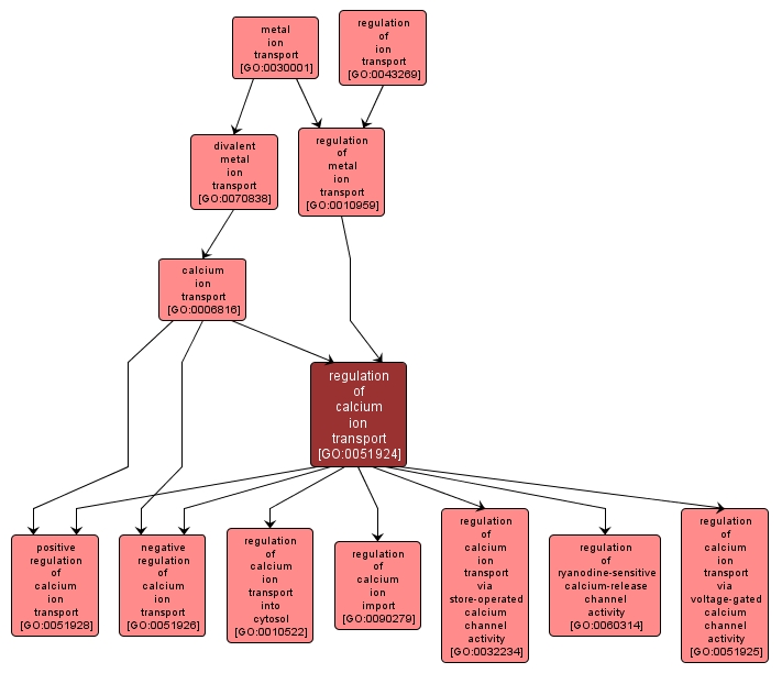 GO:0051924 - regulation of calcium ion transport (interactive image map)