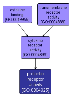 GO:0004925 - prolactin receptor activity (interactive image map)