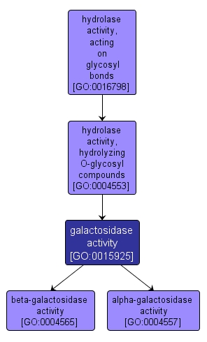 GO:0015925 - galactosidase activity (interactive image map)