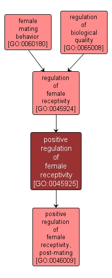 GO:0045925 - positive regulation of female receptivity (interactive image map)