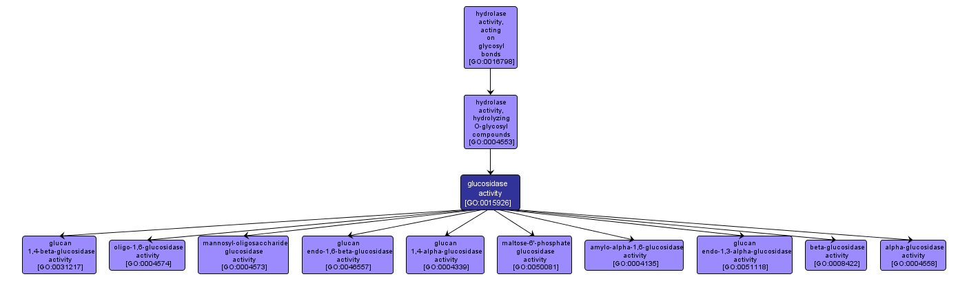 GO:0015926 - glucosidase activity (interactive image map)