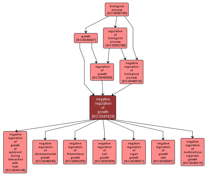 GO:0045926 - negative regulation of growth (interactive image map)