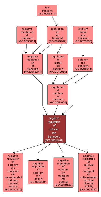 GO:0051926 - negative regulation of calcium ion transport (interactive image map)