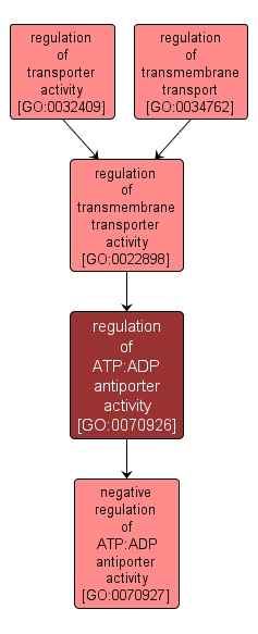 GO:0070926 - regulation of ATP:ADP antiporter activity (interactive image map)