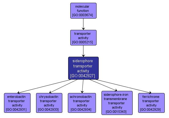 GO:0042927 - siderophore transporter activity (interactive image map)