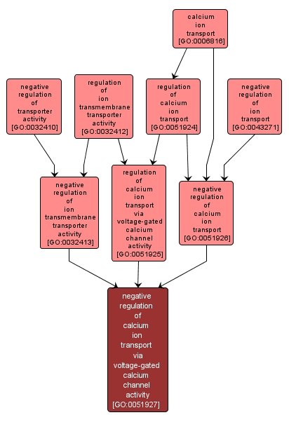 GO:0051927 - negative regulation of calcium ion transport via voltage-gated calcium channel activity (interactive image map)
