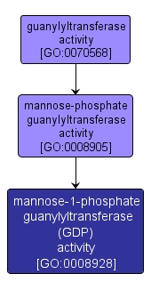 GO:0008928 - mannose-1-phosphate guanylyltransferase (GDP) activity (interactive image map)