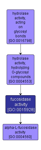 GO:0015928 - fucosidase activity (interactive image map)