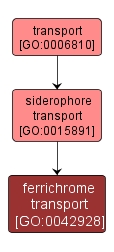 GO:0042928 - ferrichrome transport (interactive image map)