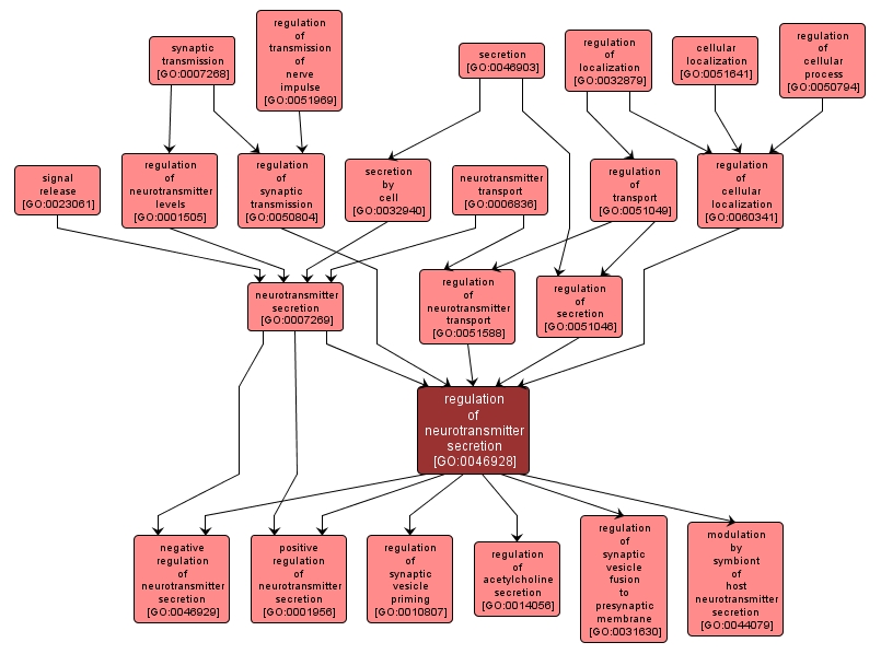 GO:0046928 - regulation of neurotransmitter secretion (interactive image map)