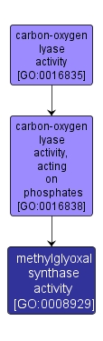 GO:0008929 - methylglyoxal synthase activity (interactive image map)