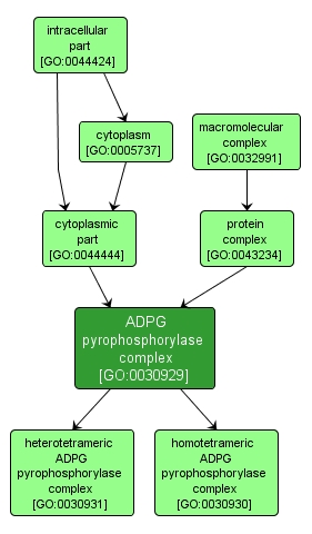 GO:0030929 - ADPG pyrophosphorylase complex (interactive image map)