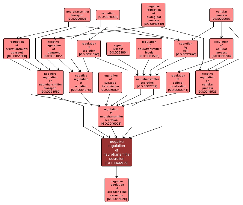 GO:0046929 - negative regulation of neurotransmitter secretion (interactive image map)