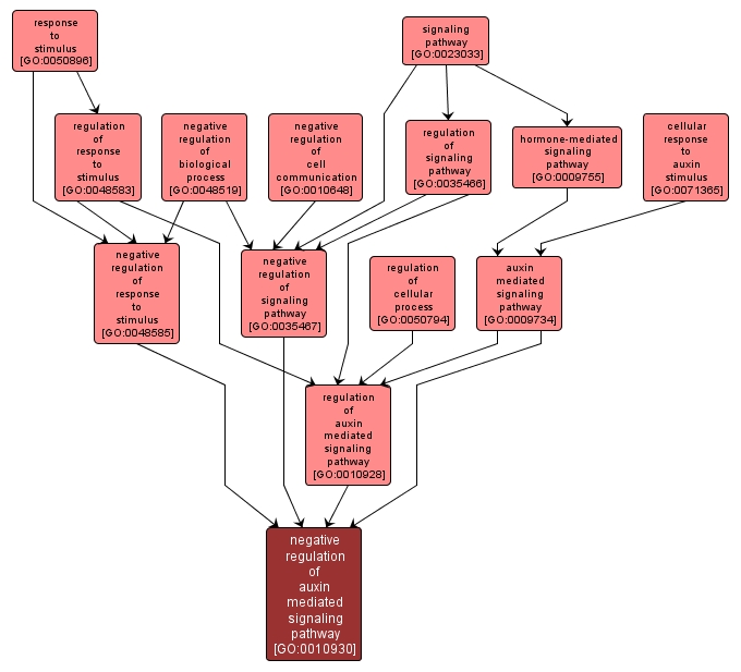 GO:0010930 - negative regulation of auxin mediated signaling pathway (interactive image map)