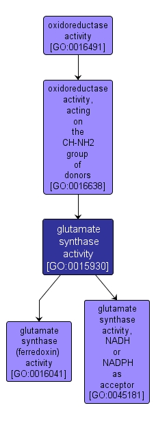 GO:0015930 - glutamate synthase activity (interactive image map)