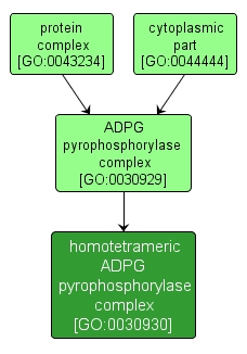 GO:0030930 - homotetrameric ADPG pyrophosphorylase complex (interactive image map)