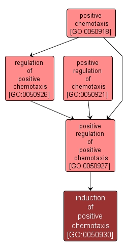 GO:0050930 - induction of positive chemotaxis (interactive image map)