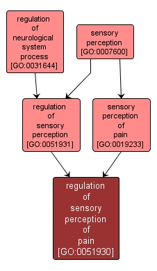 GO:0051930 - regulation of sensory perception of pain (interactive image map)