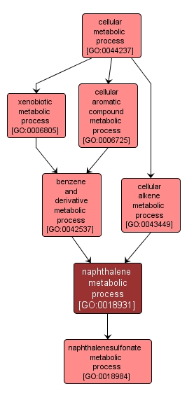 GO:0018931 - naphthalene metabolic process (interactive image map)