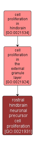 GO:0021931 - rostral hindbrain neuronal precursor cell proliferation (interactive image map)