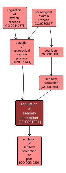 GO:0051931 - regulation of sensory perception (interactive image map)