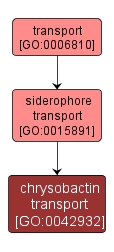GO:0042932 - chrysobactin transport (interactive image map)