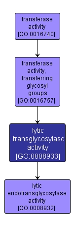 GO:0008933 - lytic transglycosylase activity (interactive image map)