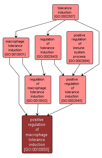 GO:0010933 - positive regulation of macrophage tolerance induction (interactive image map)