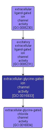 GO:0016933 - extracellular-glycine-gated ion channel activity (interactive image map)