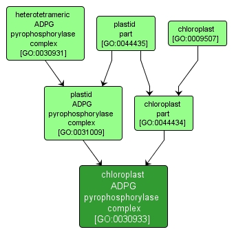 GO:0030933 - chloroplast ADPG pyrophosphorylase complex (interactive image map)