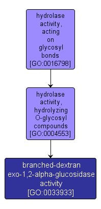 GO:0033933 - branched-dextran exo-1,2-alpha-glucosidase activity (interactive image map)
