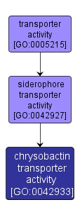 GO:0042933 - chrysobactin transporter activity (interactive image map)