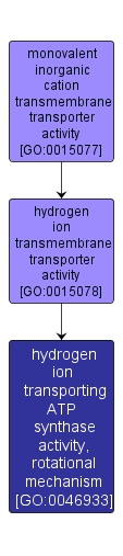 GO:0046933 - hydrogen ion transporting ATP synthase activity, rotational mechanism (interactive image map)