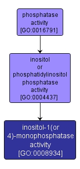 GO:0008934 - inositol-1(or 4)-monophosphatase activity (interactive image map)