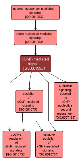 GO:0019934 - cGMP-mediated signaling (interactive image map)