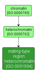 GO:0031934 - mating-type region heterochromatin (interactive image map)