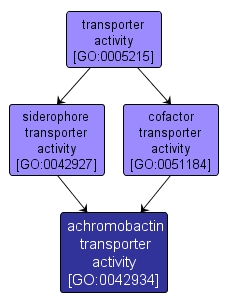 GO:0042934 - achromobactin transporter activity (interactive image map)