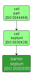 GO:0000935 - barrier septum (interactive image map)