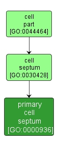 GO:0000936 - primary cell septum (interactive image map)