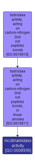 GO:0008936 - nicotinamidase activity (interactive image map)