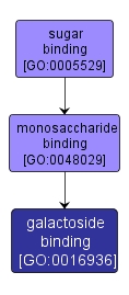 GO:0016936 - galactoside binding (interactive image map)