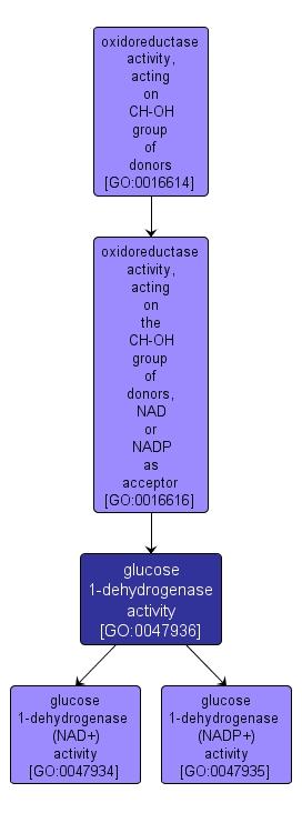 GO:0047936 - glucose 1-dehydrogenase activity (interactive image map)