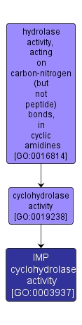 GO:0003937 - IMP cyclohydrolase activity (interactive image map)