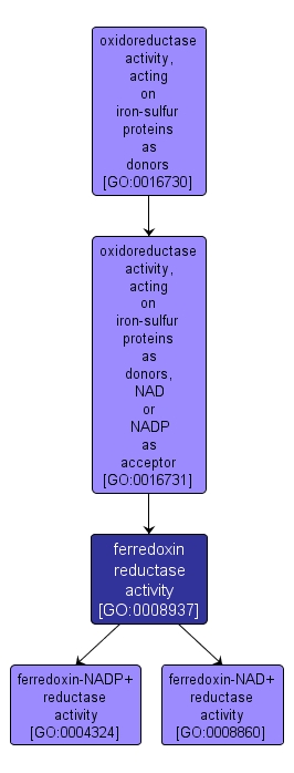 GO:0008937 - ferredoxin reductase activity (interactive image map)